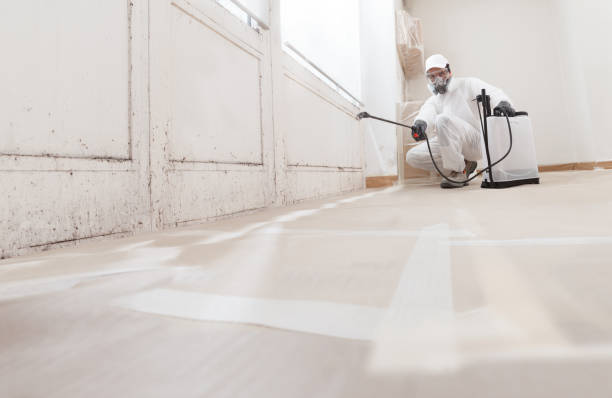 24/7 Emergency Attic Mold Removal experts in Reva, VA